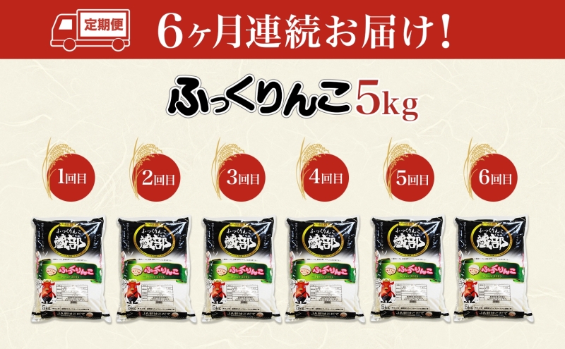 北海道木古内町のふるさと納税 北海道 定期便 6ヵ月連続6回 木古内産 ふっくりんこ 5kg 特A 精米 米 お米 白米 北海道米 道産米 ブランド米 ごはん ご飯 ふっくら 産地直送 木古内公益振興社 送料無料