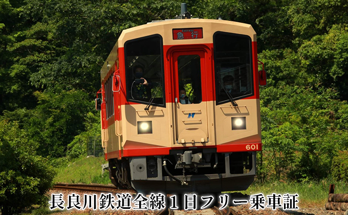 長良川鉄道全線1日フリー乗車証 | クチコミで探すならふるさと納税 