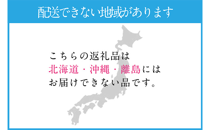 シャインマスカット 晴王 2房（合計約1.1kg） 岡山県産 種無し 皮ごと食べる みずみずしい 甘い フレッシュ 晴れの国 おかやま 果物大国（岡山県 浅口市） | ふるさと納税サイト「ふるさとプレミアム」