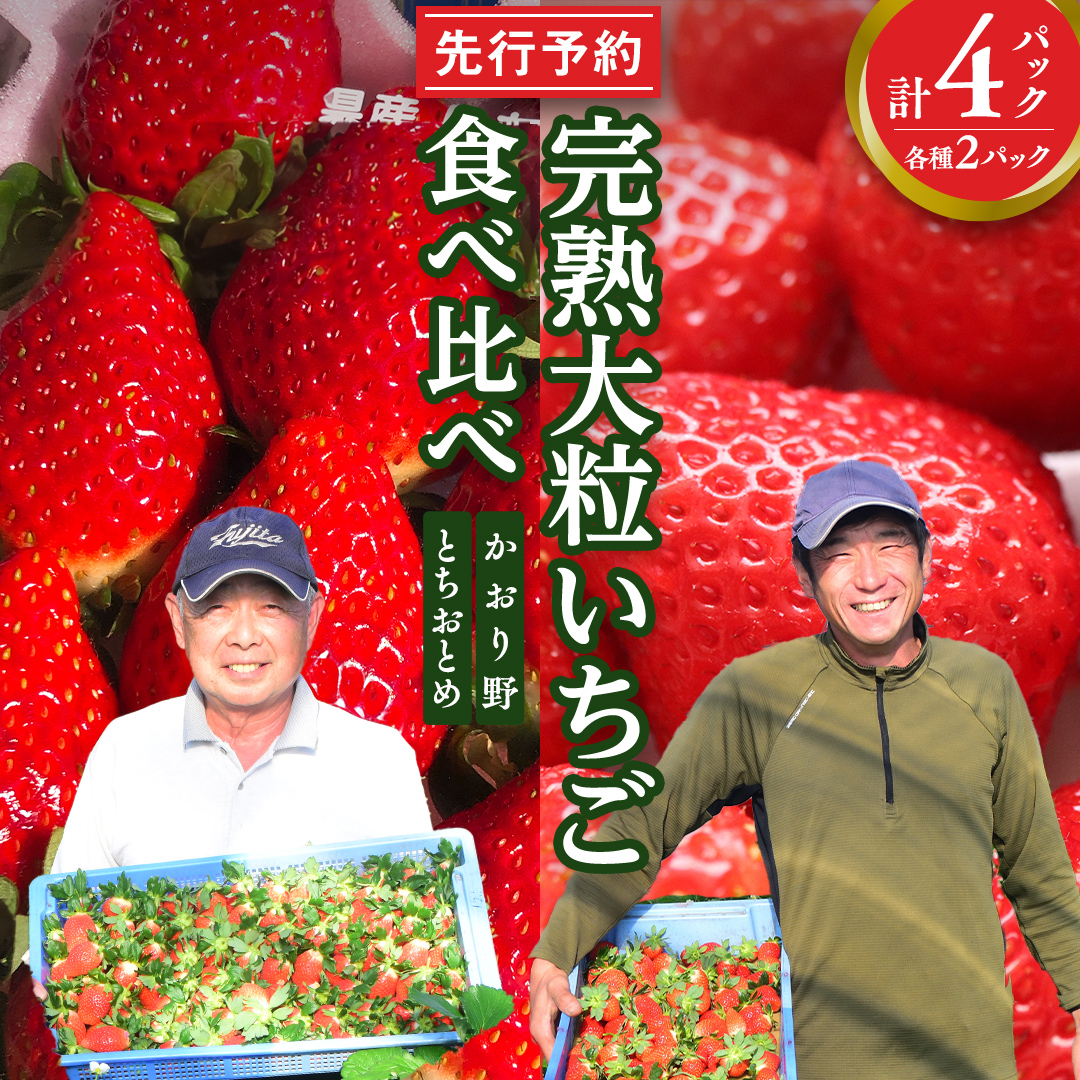 [ 先行予約 ] 完熟 かおり野 ・ とちおとめ 食べ比べ 4パック セット いちご イチゴ 苺 食べくらべ [AF088ci]