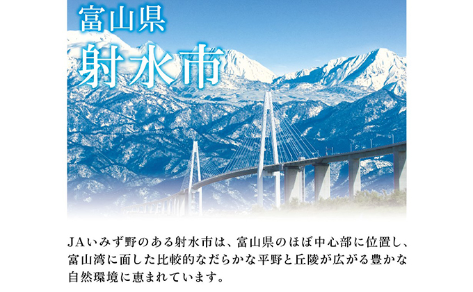 富山県射水市のふるさと納税 越中いみず野米一番 10kg（コシヒカリ）