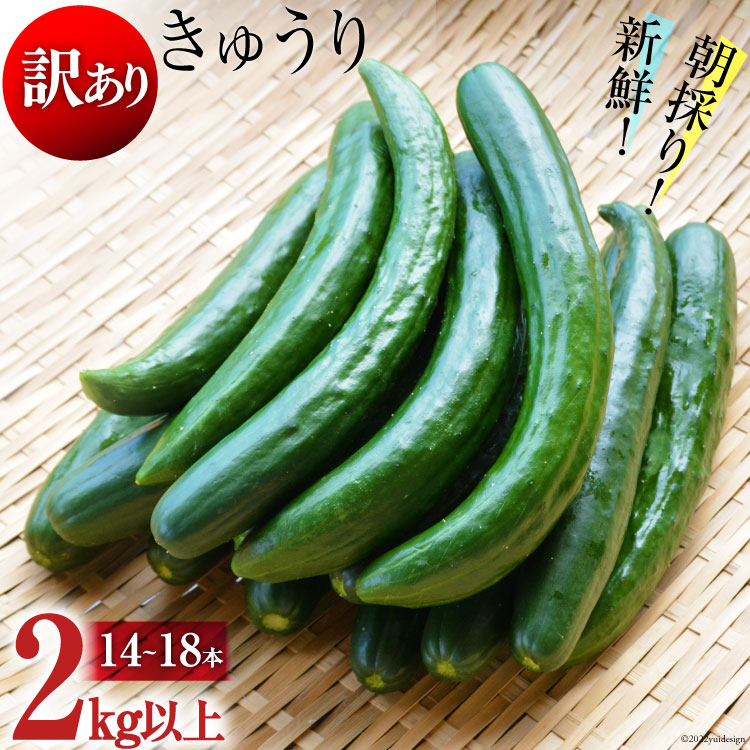 農家直送！新鮮キュウリ5㎏ - 野菜