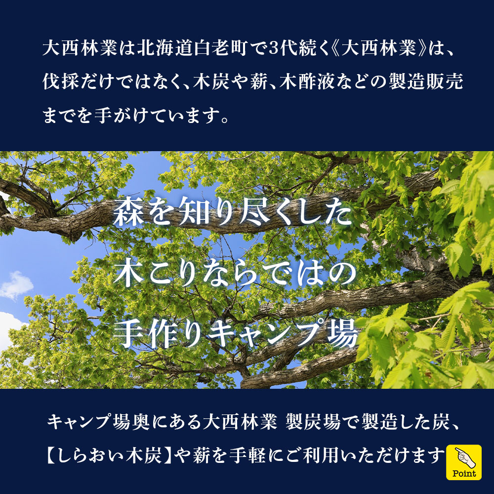 北海道白老町のふるさと納税 キャンプ場 利用補助券 ブウベツの森 北海道 白老町 （4000円分）