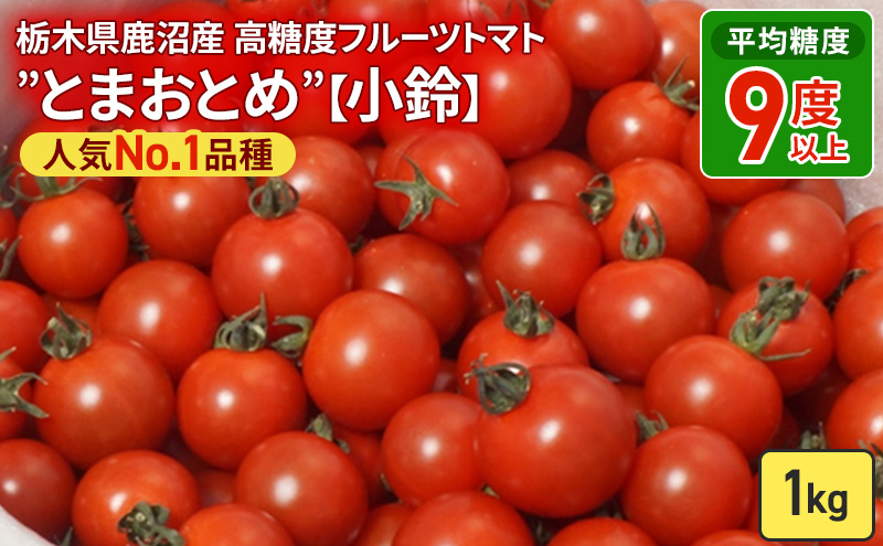 yȖ،szȖ، Y x t[cg}g hƂ܂Ƃ߁h lCNo.1i yz 1kg 2025N12{`2026N6{ɏ\