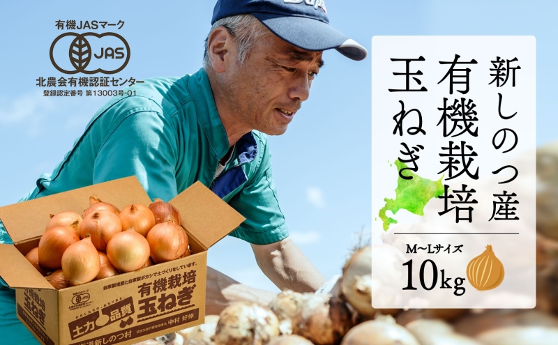 北海道 新しのつ産 有機栽培 玉ねぎ M-L サイズ混合 約10kg 玉葱 タマネギ オーガニック 有機野菜 有機JAS 旬 農作物 国産 カレー 肉じゃが つちから農場 送料無料