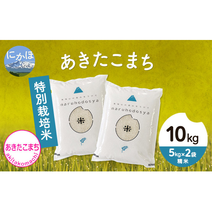 産地提携米 無洗米ひとめぼれ 10kg 5kg×2袋