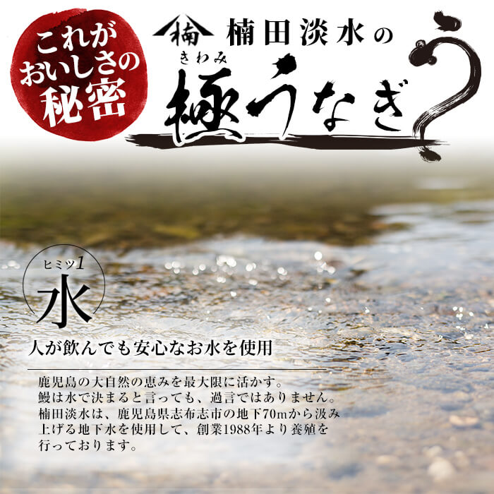 楠田の極うなぎ 蒲焼き 170g以上×5尾(計850g以上)c7-004 / 鹿児島県志布志市 | セゾンのふるさと納税