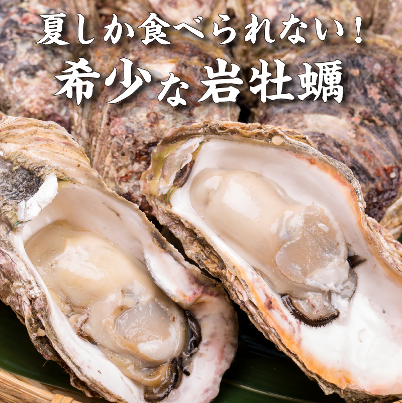 秋田県にかほ市のふるさと納税 先行予約 秋田の肉厚な天然岩牡蠣（岩ガキ 5個以上）ナイフ無し