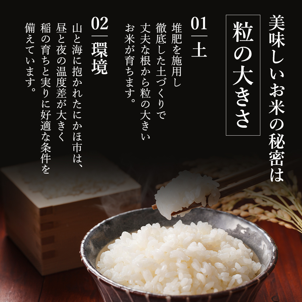 〈定期便〉 あきたこまち 白米 10kg（5kg×2袋）×3回 計30kg 3ヶ月 令和5年 精米 土づくり実証米 毎年11月より 新米 出荷