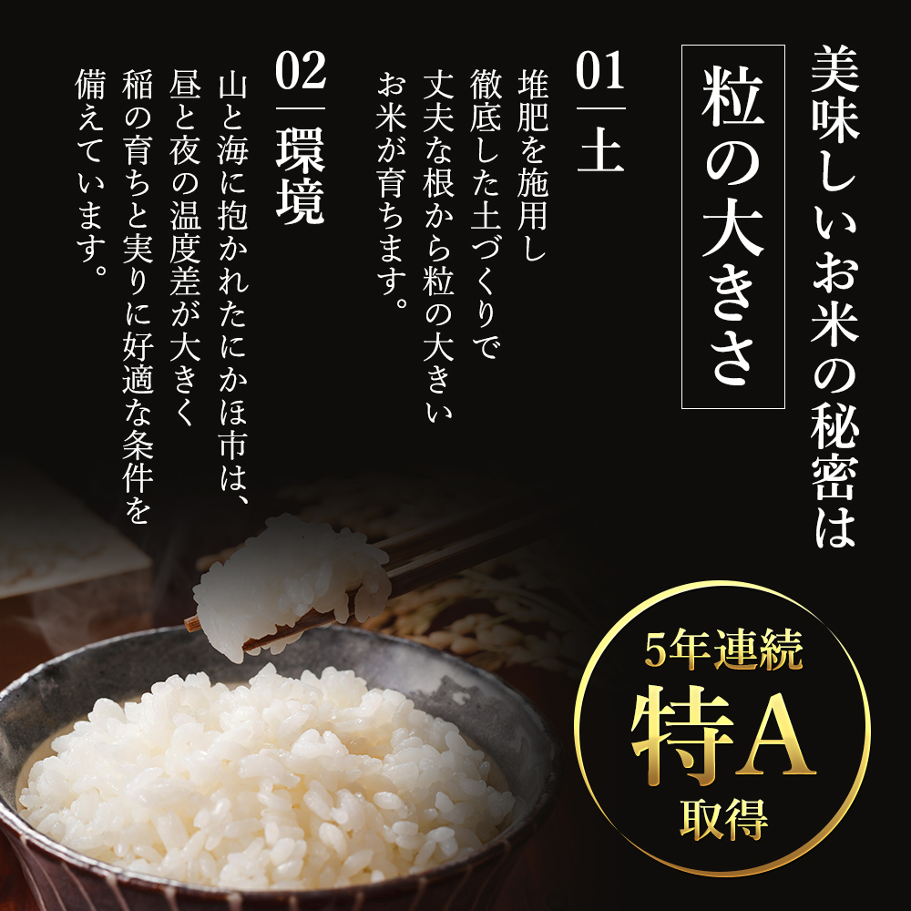 定期便〉 ひとめぼれ 白米 10kg（5kg×2袋）×6回 計60kg 6ヶ月 令和4年