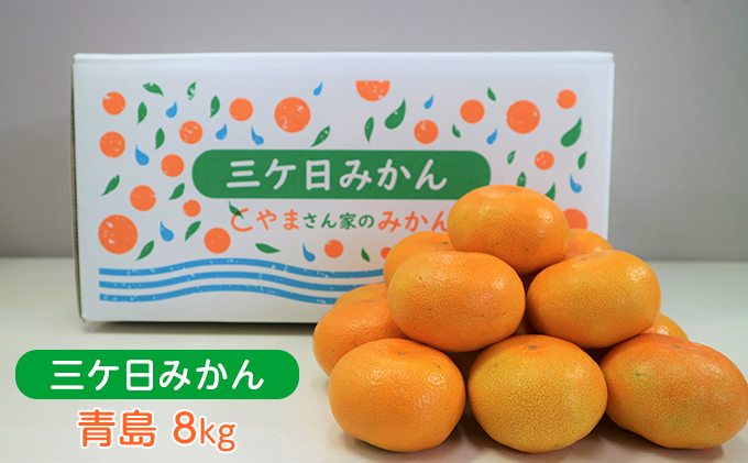 【2023年12月中旬より順次発送】三ヶ日みかん（青島8kg）光センサー選果|株式会社　とやま農園