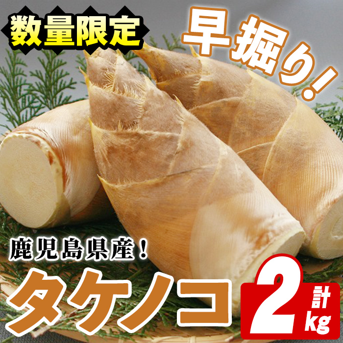 先行予約受付中！2025年3月以降順次発送予定＞鹿児島県産！早掘り 