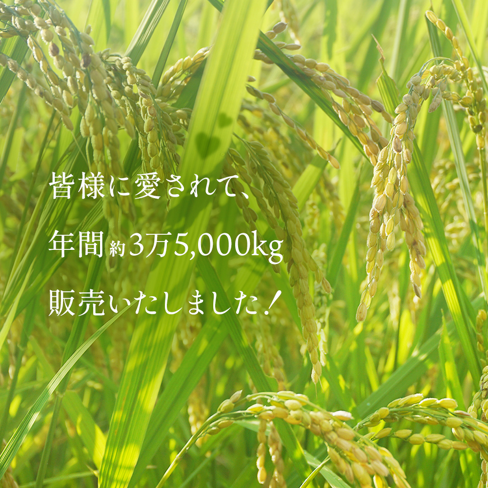 玄米】令和5年産富山県産コシヒカリ《ひみ穂波》30kg ＜10月以降順次発送＞富山県 氷見市 こしひかり 30kg 玄米: 氷見市ANAのふるさと納税