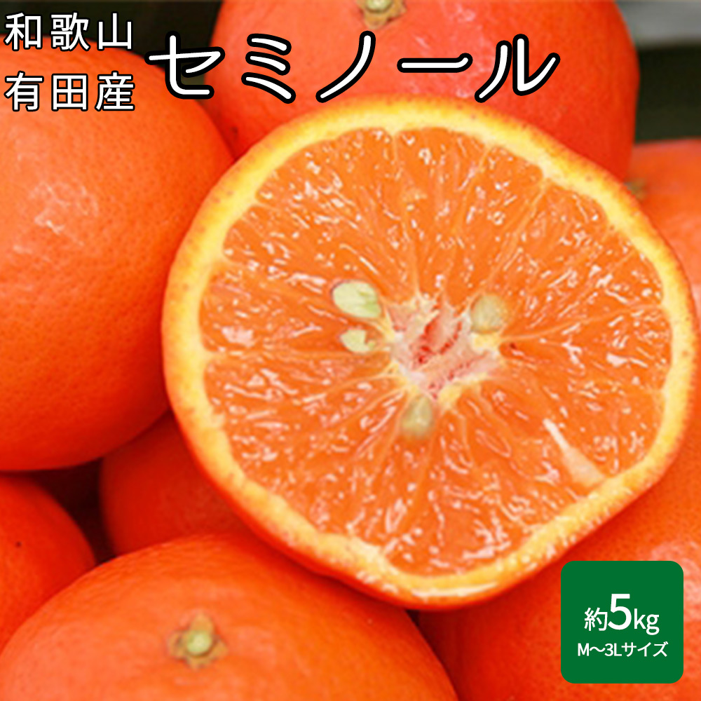 和歌山有田産セミノールオレンジ5kg(M〜3Lサイズ混合) 通販