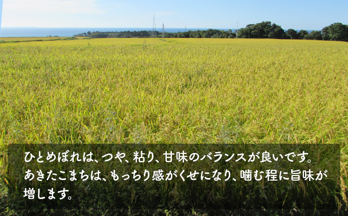 秋田県にかほ市のふるさと納税 令和4年産 秋田のお米食べ比べセット4kg（あきたこまち＆ひとめぼれ各2kg）