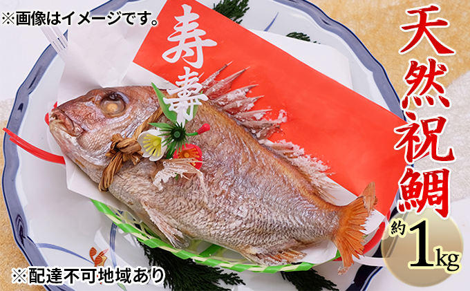 炭火焼　尾頭付き　焼鯛　天然祝鯛（大）約1kg　【約4人前】　クチコミで探すならふるさと納税ニッポン！
