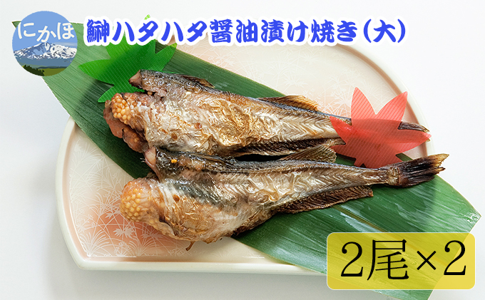 田野泉大豆醤 6点セット - 調味料・料理の素・油