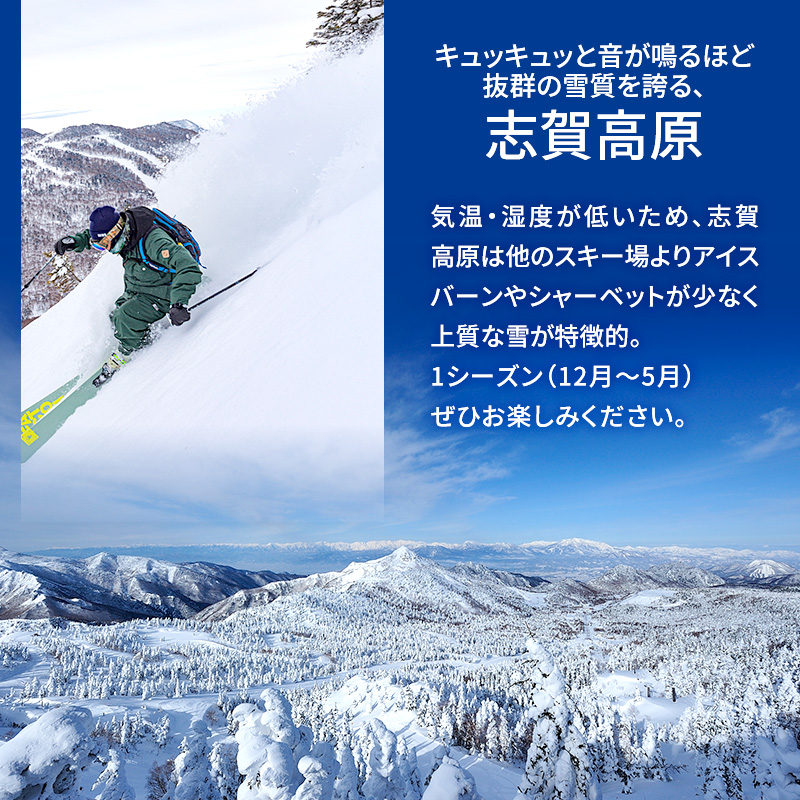 志賀高原スキー場全山共通 大人用リフト券(2日券) - スキー場