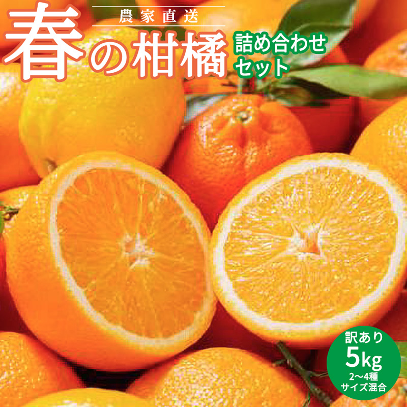 AN6106n_春の柑橘詰め合わせ訳あり5kgサイズ混合（2025年2月下旬より順次発送）