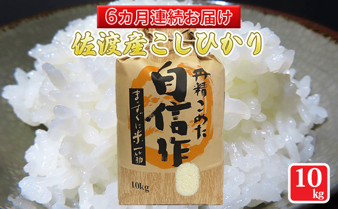 定期便】佐渡産こしひかり10kg【6カ月連続お届け】 | クチコミで探すならふるさと納税ニッポン！