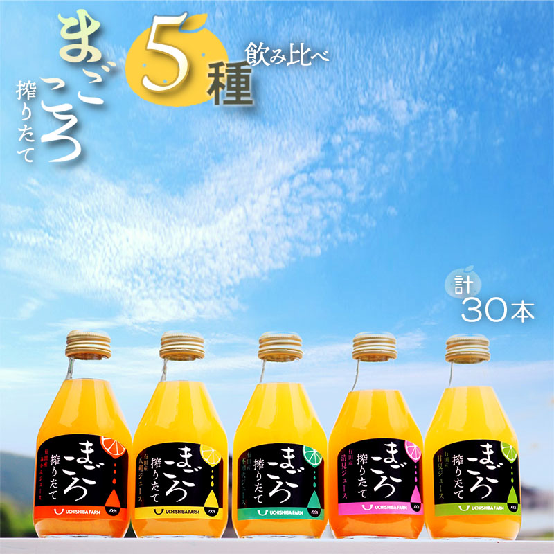 ZE6386_【まごころ搾りたて】5種の柑橘100%ジュース 飲み比べ セット (みかん・八朔・清見・不知火・甘夏 各6本) 180ml × 30本