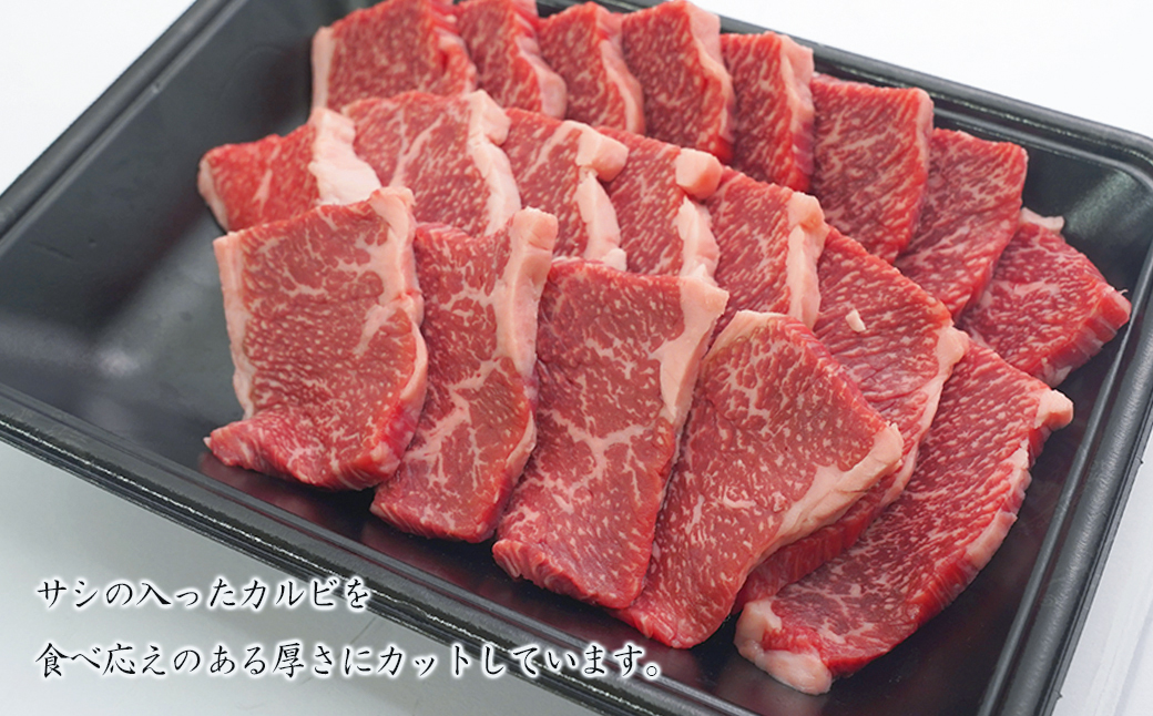 淡路牛カルビ焼肉 500g（250ｇ×2ＰＣ）（兵庫県淡路市） | ふるさと納税サイト「ふるさとプレミアム」