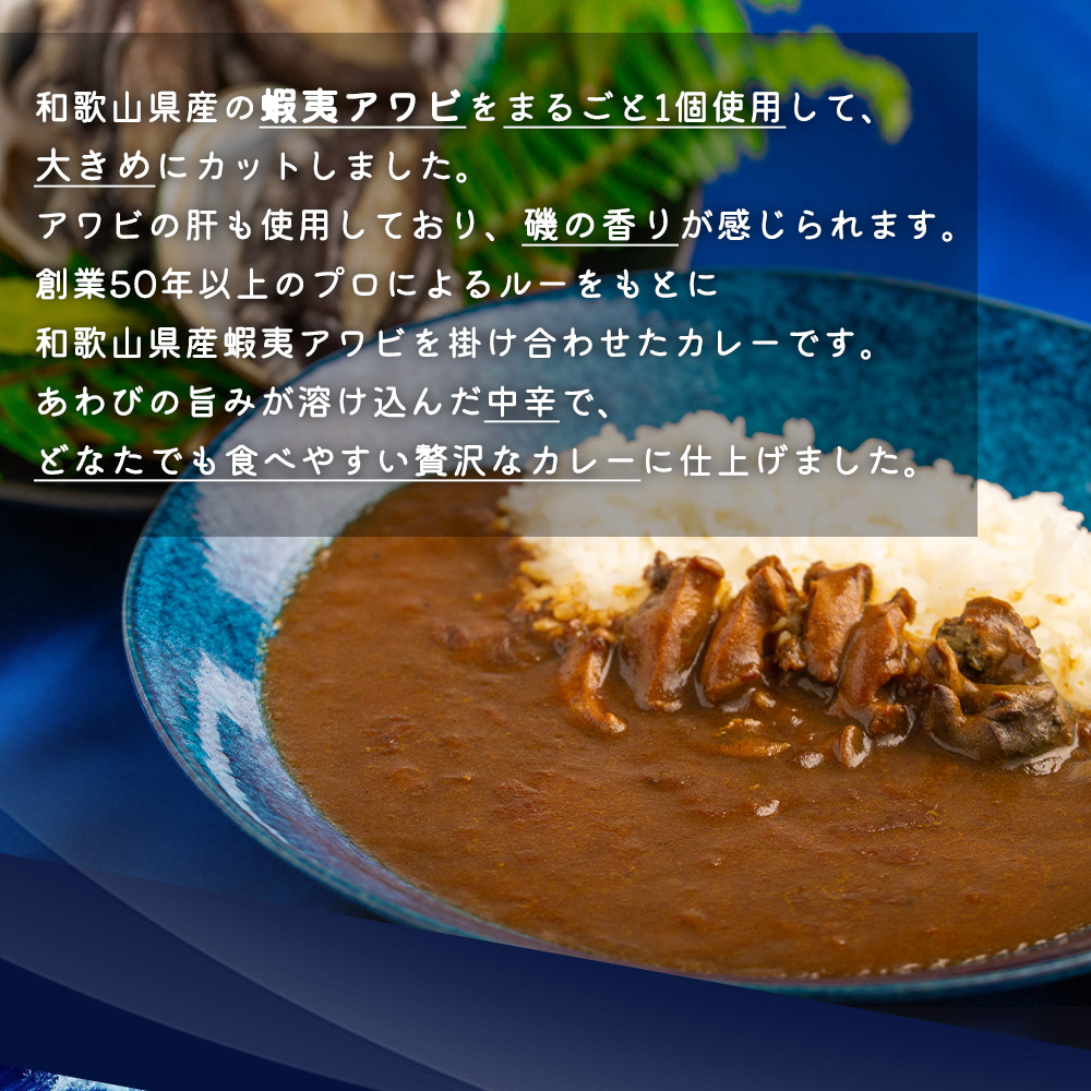 ZG6021_和歌山のアワビ屋さんがつくった あわびカレー 170g×3袋（和歌山県有田郡湯浅町） | ふるさと納税サイト「ふるさとプレミアム」