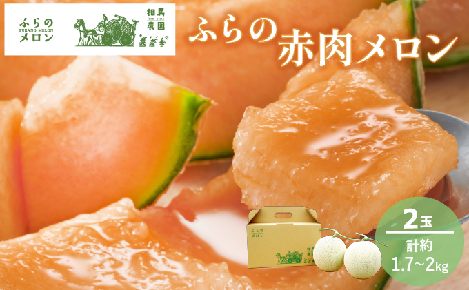 アールスメロン静岡県産約1.7kg×2玉 旬のフルーツ ギフト 毎週更新