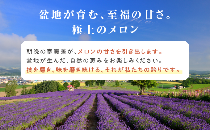 北海道富良野市のふるさと納税 【2024年6月下旬～発送】ふらの 赤肉 メロン 1玉入 約1.7kg～2kg 北海道 富良野市 (相馬農園) メロン フルーツ 果物 新鮮 甘い 贈り物 ギフト 道産 ジューシー おやつ ふらの ブランド 夏