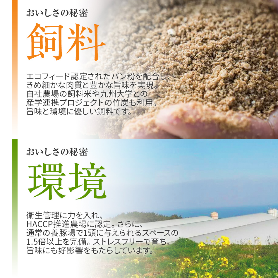 福岡県大木町のふるさと納税 池上ファームのおまかせスペシャルセット　AP06