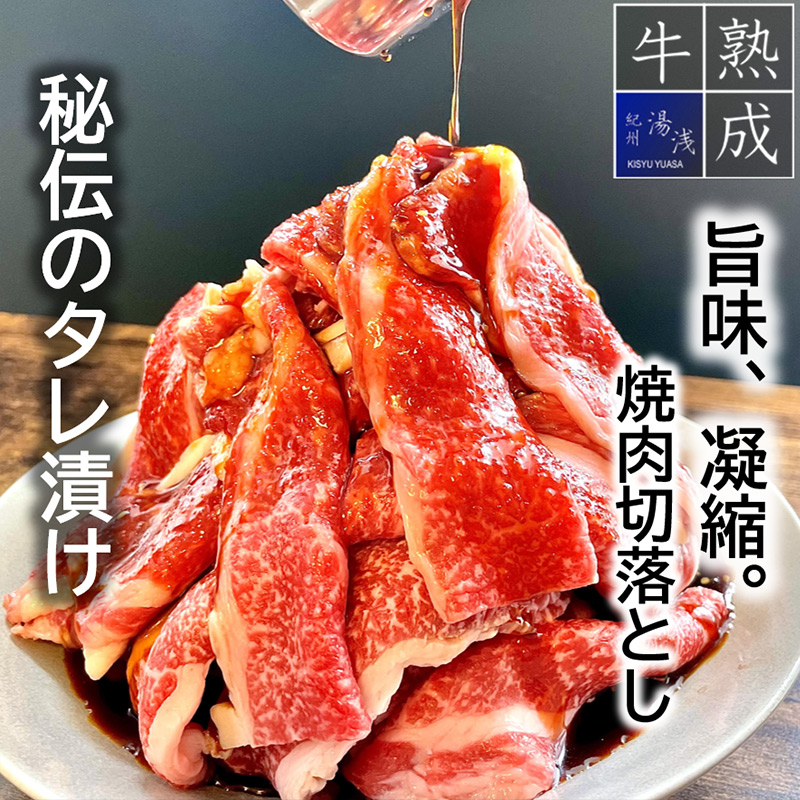 BS6134_湯浅熟成肉 黒毛和牛 タレ漬け 薄切り 焼肉 切落し 1.2kg（和歌山県有田郡湯浅町） | ふるさと納税サイト「ふるさとプレミアム」