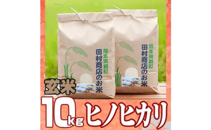 こめ　熊本県錦町　米　10kg　ヒノヒカリ　玄米　令和5年　5kg×2　セゾンのふるさと納税