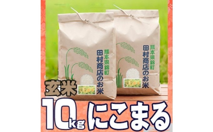 セゾンのふるさと納税　こめ　熊本県錦町　令和5年　5kg×2　にこまる　玄米　米　10kg