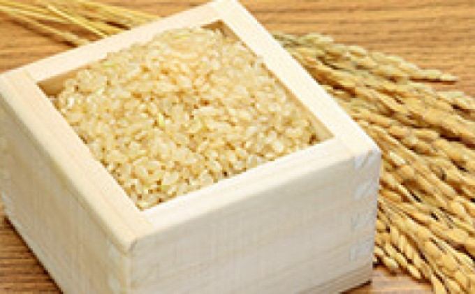 米　ふるさと納税サイト「ふるさとプレミアム」　10kg　5kg×2　令和5年　くまさんの力　玄米　こめ（熊本県錦町）