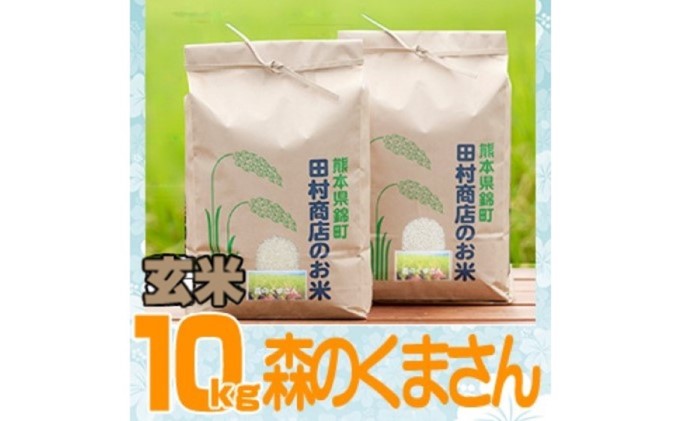 令和5年　玄米　米　5kg×2　森のくまさん　10kg　セゾンのふるさと納税　こめ　熊本県錦町