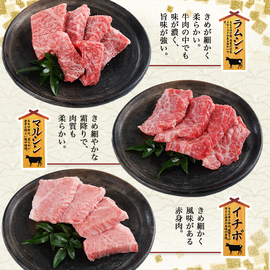 宮崎県都城市のふるさと納税 【数量限定】宮崎牛9種盛り焼肉セット_22-3101