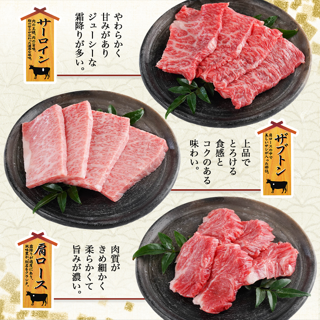 宮崎県都城市のふるさと納税 【数量限定】宮崎牛9種盛り焼肉セット_22-3101