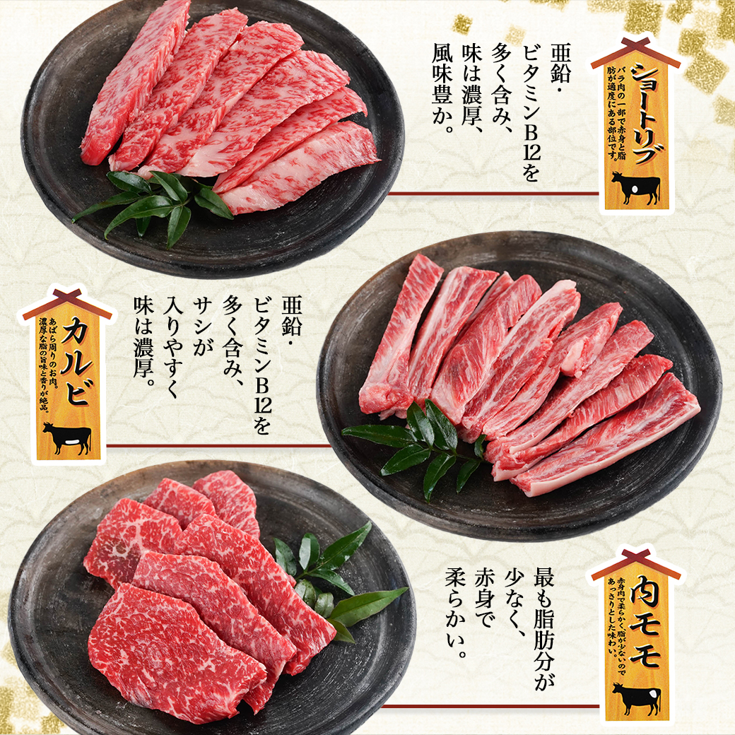 宮崎県都城市のふるさと納税 【数量限定】宮崎牛9種盛り焼肉セット_22-3101