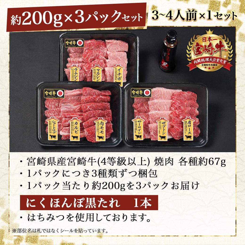 宮崎県都城市のふるさと納税 【数量限定】宮崎牛9種盛り焼肉セット_22-3101