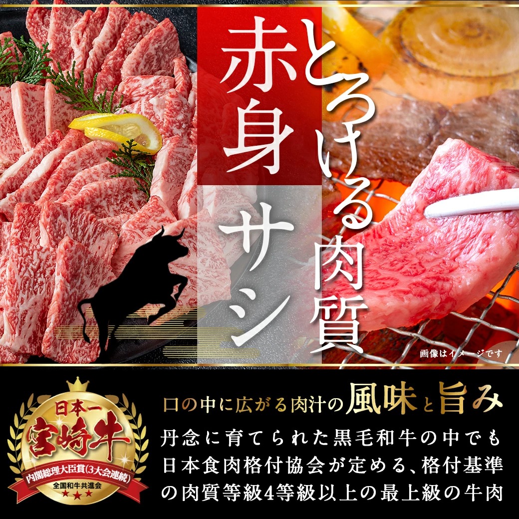 宮崎県都城市のふるさと納税 【数量限定】宮崎牛9種盛り焼肉セット_22-3101