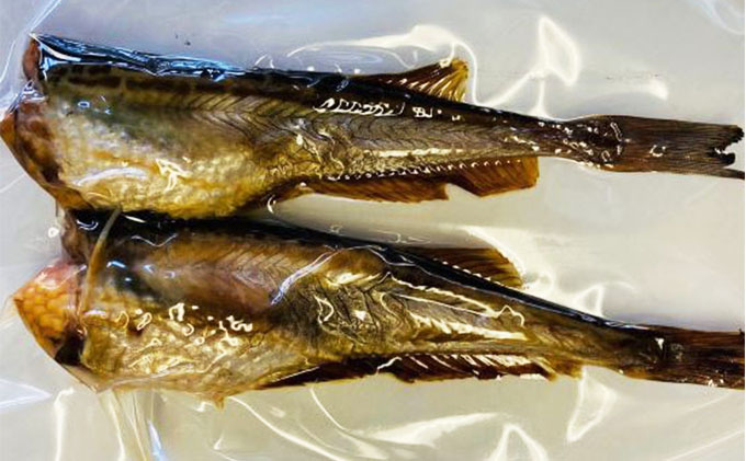秋田の味覚 骨抜き子持ちハタハタ 醤油漬け焼き 大 ブリコ入り 2尾 3パック 小分け 秋田県にかほ市 ふるさと納税サイト ふるさとプレミアム 秋田の味覚 骨抜き子持ちハタハタ 醤油漬け焼き 大 ブリコ入り 2尾 3パック 小分け 秋田県にかほ市 ふるさと納税サイト ふるさとプレミアム