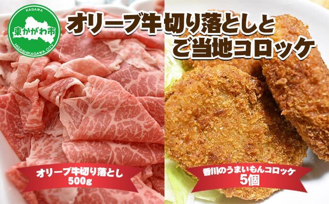 はなまる農園のこだわりいちご【さぬきひめ】1kg（香川県東かがわ市） | ふるさと納税サイト「ふるさとプレミアム」