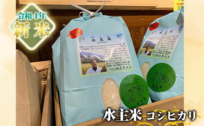 減農薬米コシヒカリ「水主米」30kg（玄米）