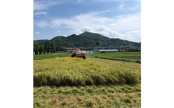 令和４年香川県産 「有機栽培地域ブランド米」30kg（玄米）コシヒカリ