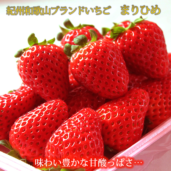 ya̎RlzIBa̎Ruhu܂Ђ߁v250g×4P  2026N1{?3{ɏ\