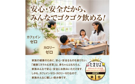 北海道恵庭市のふるさと納税 『定期便：全2回』健康ミネラルむぎ茶2L×6本【500008】