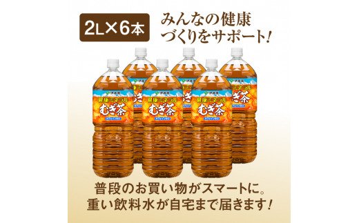 北海道恵庭市のふるさと納税 『定期便：全2回』健康ミネラルむぎ茶2L×6本【500008】