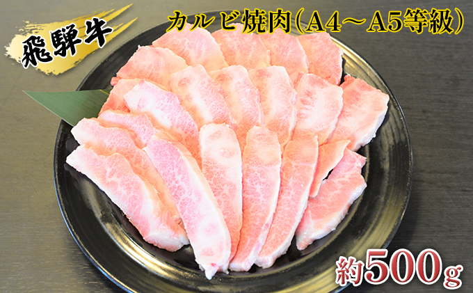 岐阜県安八町のふるさと納税 飛騨牛カルビ焼肉（A4～A5等級）約500g（約250g×2パック）