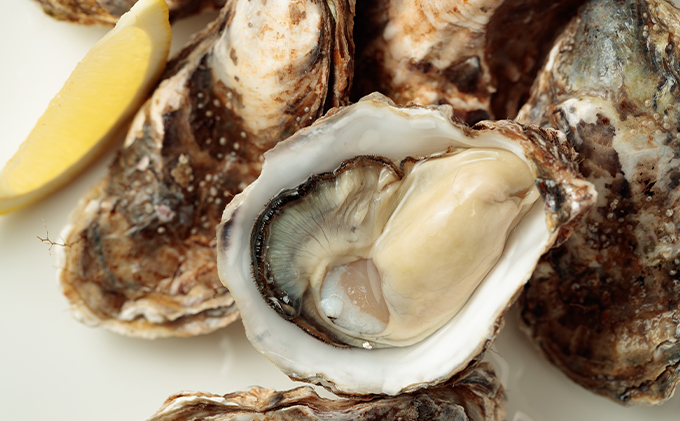 北海道厚岸町のふるさと納税 北海道厚岸産 生食用　殻付カキ3Lサイズ10個　マルえもん 魚貝類 海の幸 海のミルク 海鮮 国産 北海道産 オイスター つまみ お酒 あて 肴 生牡蠣 メルマガ掲載商品1