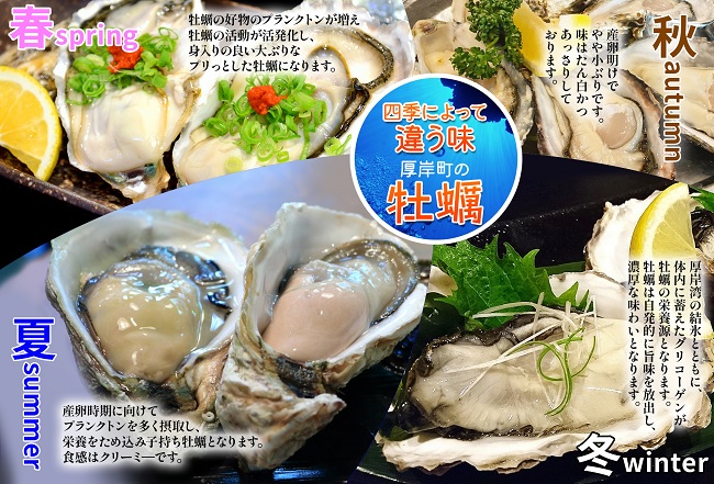 北海道厚岸町のふるさと納税 北海道厚岸産 生食用　殻付カキ3Lサイズ10個　マルえもん